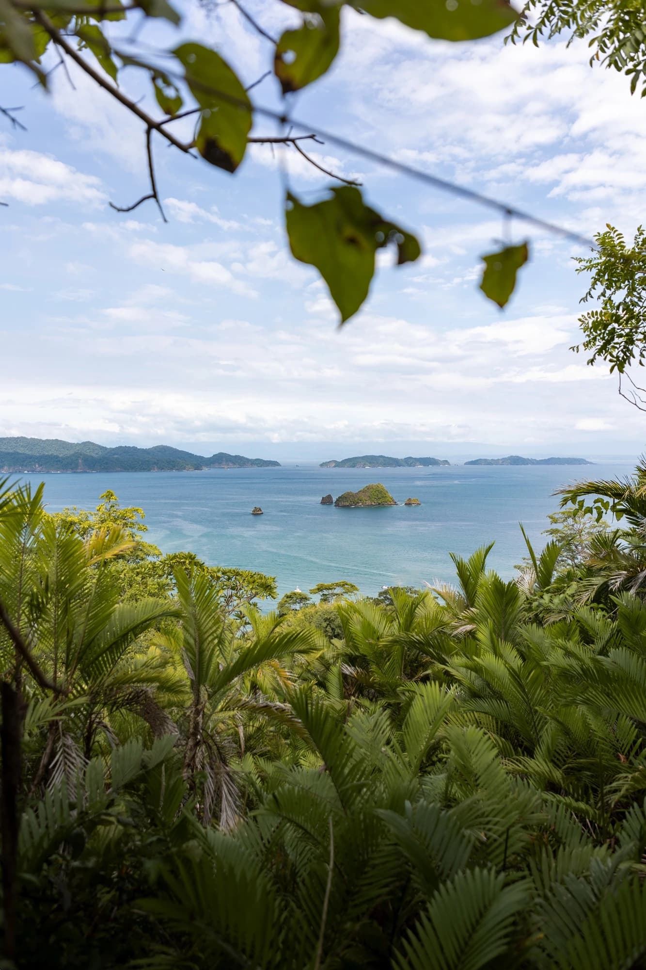 Photographie de paysage sauvage au Costa Rica, immersion dans la biodiversité exceptionnelle d'Amérique Centrale.