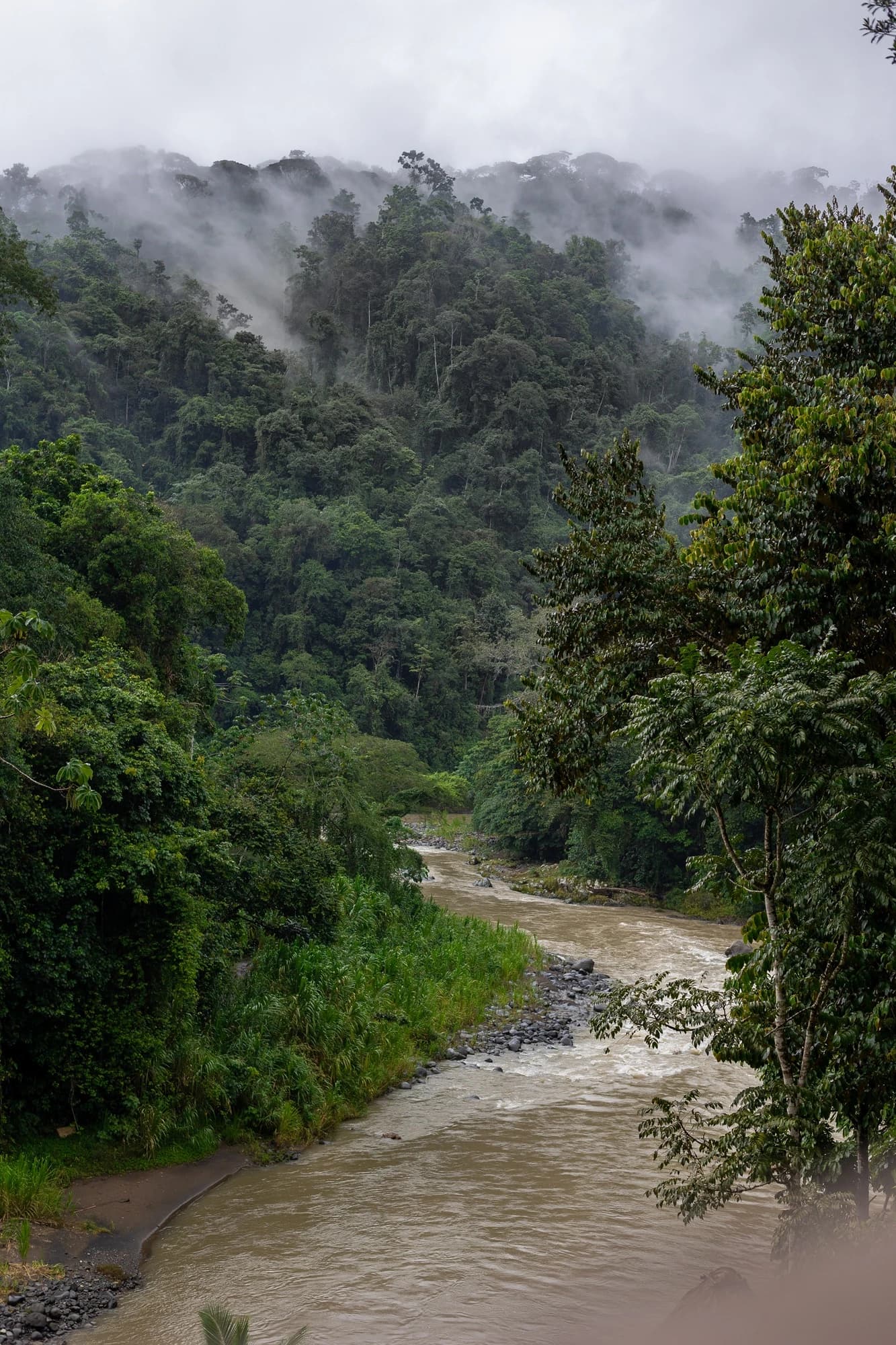Expédition photographique sur la rivière Pacuare au Costa Rica, aventure et nature brute.